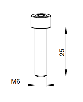 AM416-A005 AM-SAFETY SCREW